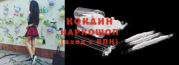 мдпв Кинешма