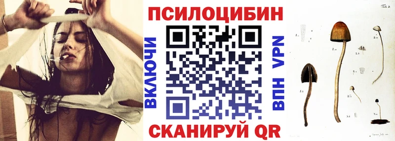 Галлюциногенные грибы Psilocybine cubensis  Петрозаводск 
