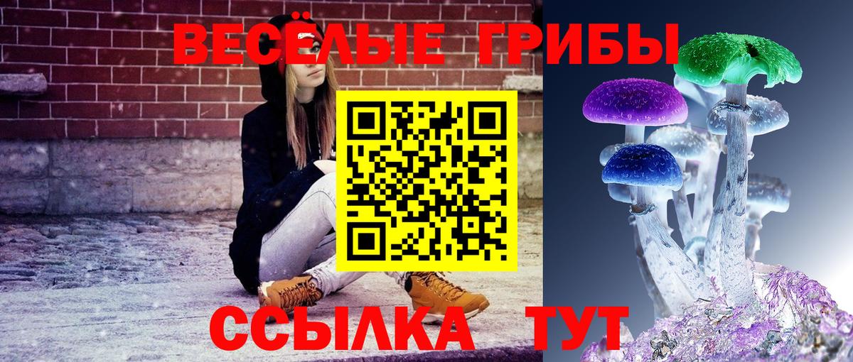 APVP СК кристаллы  COCAIN  ГАШИШ  Петрозаводск  Вход с VPN  Меф  МЕФ  