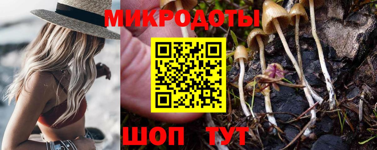 Петрозаводск  Галлюциногенные грибы Psilocybe  где продают   Вход с VPN 