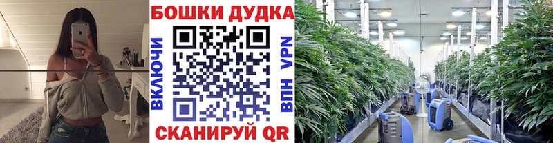 площадка состав  Петрозаводск  Бошки Шишки марихуана 